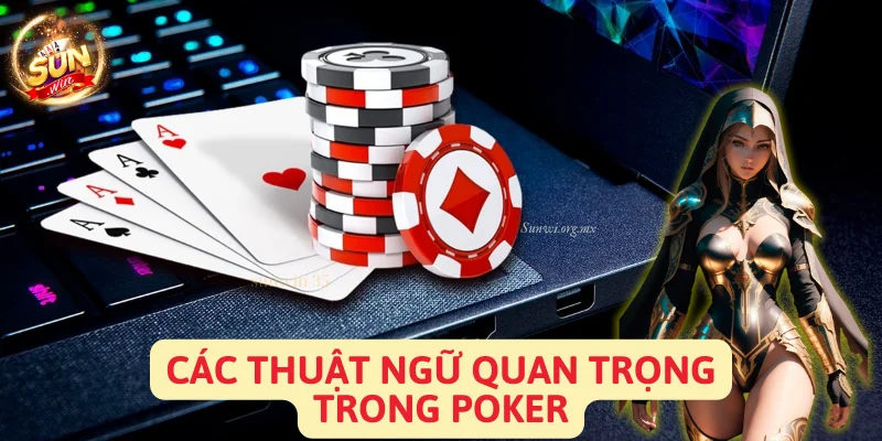 Các Thuật Ngữ Quan Trọng (Important Terminologies)